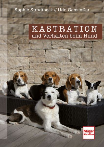 Kastration und Verhalten beim Hund - 