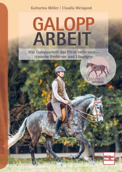 Galopparbeit - Wie Galopparbeit das Pferd verbessert - typische Probleme und Lösungen