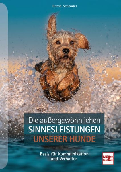 Die außergewöhnlichen Sinnesleistungen unserer Hunde - Basis für Kommunikation und Verhalten