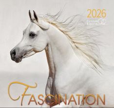 Fascination 2026 - Arabische Pferde Kalender - 