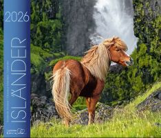 Isländer 2026 Kalender - 