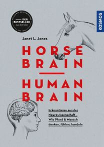 Horse Brain - Human Brain - 