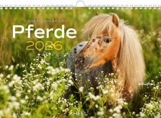 Pferde-Kalender 2026 - 