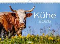 Kühe Kalender 2026 - 