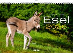 Esel Kalender 2026 - 