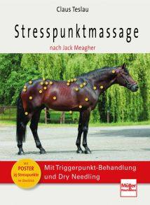 Stresspunktmassage nach Jack Meagher - Mit Triggerpunkt-Behandlung und Dry Needling