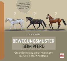 Bewegungsmuster beim Pferd - Gesunderhaltung durch Kenntnisse der funktionellen Anatomie