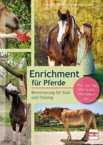 Enrichment für Pferde - Bereicherung für Stall und Training