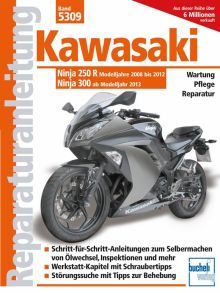 Kawasaki Ninja 250 R (2008-2012) 300 (ab 2013) - 