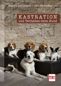 Kastration und Verhalten beim Hund - 