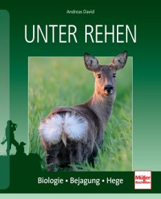 Unter Rehen - Biologie - Bejagung - Hege
