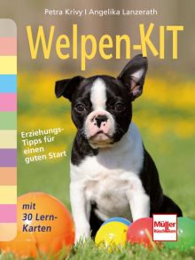 Welpen-Kit - Erziehungs-Tipps für einen guten Start mit 30 Lern-Karten