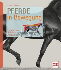 Pferde in Bewegung - Gangarten - Balance - Anatomie 