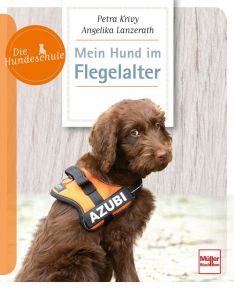 Mein Hund im Flegelalter - 