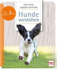 Hunde verstehen - 