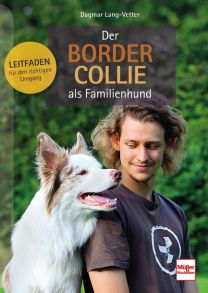 Der Border Collie als Familienhund - Leitfaden für den richtigen Umgang