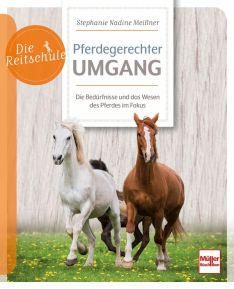 Pferdegerechter Umgang - Die Bedürfnisse und das Wesen des Pferdes im Fokus