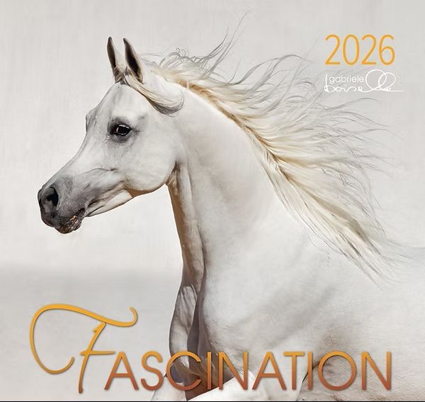 Fascination 2026 - Arabische Pferde Kalender -  Fascination 2026 - Arabische Pferde Kalender -