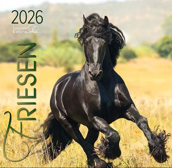 Friesen 2026 Kalender  -  Friesen 2026 Kalender  -