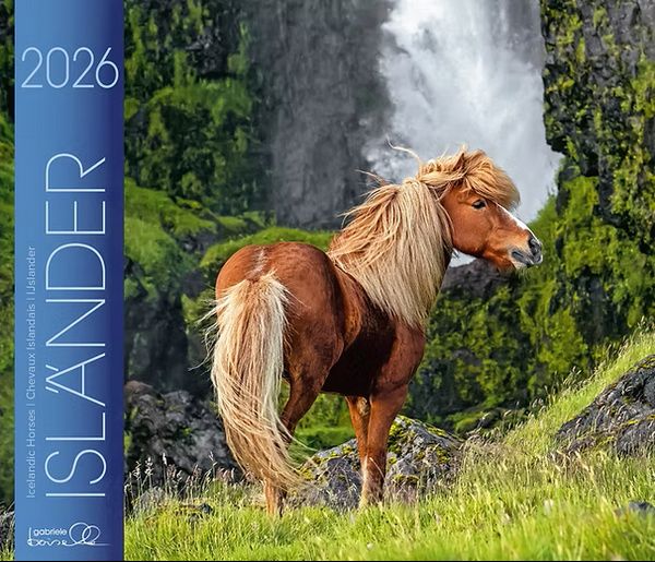 Isländer 2026 Kalender -  Isländer 2026 Kalender -