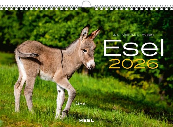Esel Kalender 2026 - 