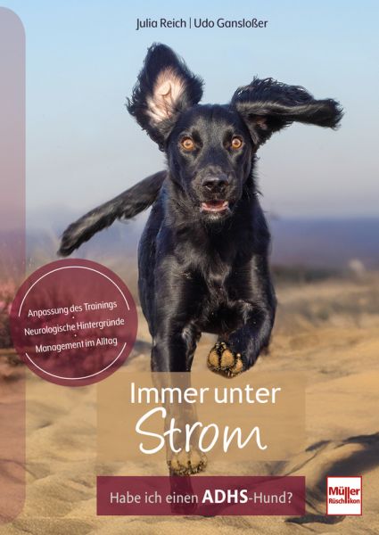 Immer unter Strom - Habe ich einen ADHS-Hund?