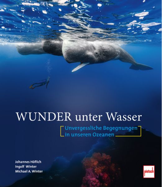 Wunder unter Wasser - Unvergessliche Begegnungen in unseren Ozeanen Wunder unter Wasser - Unvergessliche Begegnungen in unseren Ozeanen