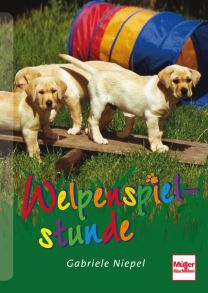 Welpenspielstunde - 