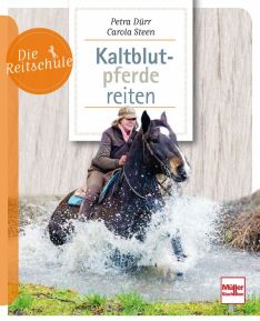 Kaltblutpferde reiten - 