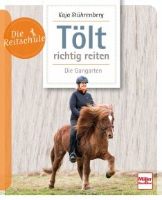 Tölt richtig reiten - Die Gangarten