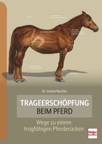 Trageerschöpfung beim Pferd - Wege zu einem tragfähigen Pferderücken
