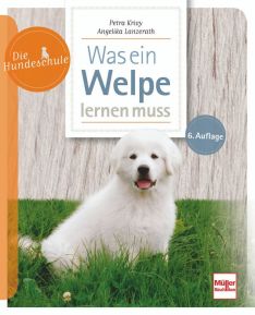 Was ein Welpe lernen muss - 