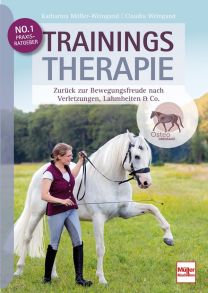 Trainingstherapie - Zurück zu Bewegungsfreude nach Verletzungen, Lahmheiten & Co.