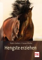 Hengste erziehen - 