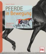 Pferde in Bewegung - Gangarten - Balance - Anatomie 