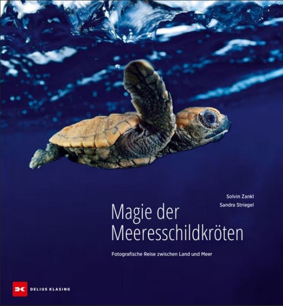Magie der Meeresschildkröten - Fotografische Reise zwischen Land und Meer