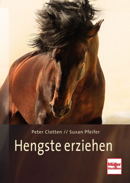 Hengste erziehen - 