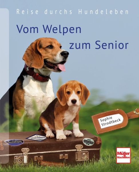 Vom Welpen zum Senior - Reise durchs Hundeleben