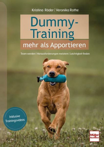 Dummy-Training - mehr als Apportieren - Team werden - Herausforderungen meistern - Leichtigkeit finden