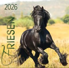 Friesen 2026 Kalender 