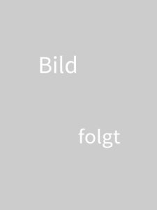 Lexikon der Kraftfahrzeugtechnik