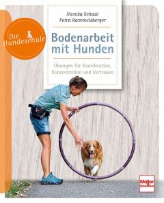 Bodenarbeit mit Hunden