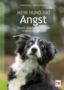 Mein Hund hat Angst