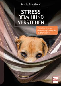 Stress beim Hund verstehen