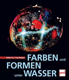 Farben und Formen unter Wasser 