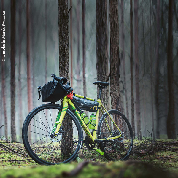 ein grünes Gravelbike lehnt im Wald an einem Baum